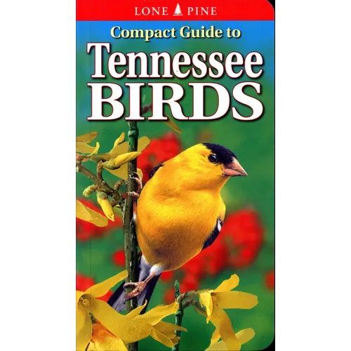 Compact Guide to Tennessee Birds