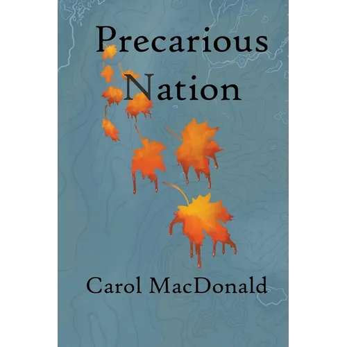 Precarious Nation