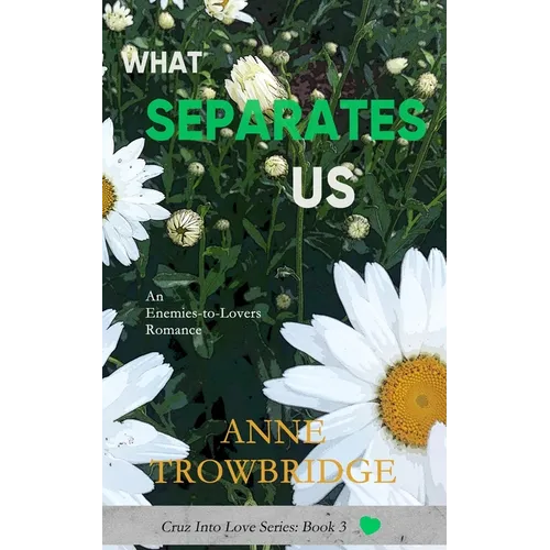 What Separates Us: An Enemies-to-Lovers Romance