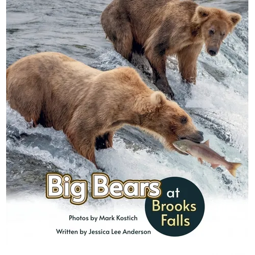 Big Bears at Brooks Falls
