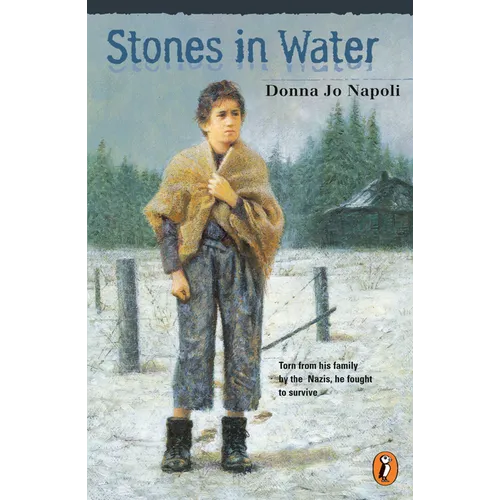 Stones in Water