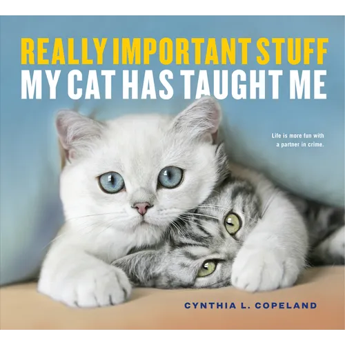 Really Important Stuff My Cat Has Taught Me