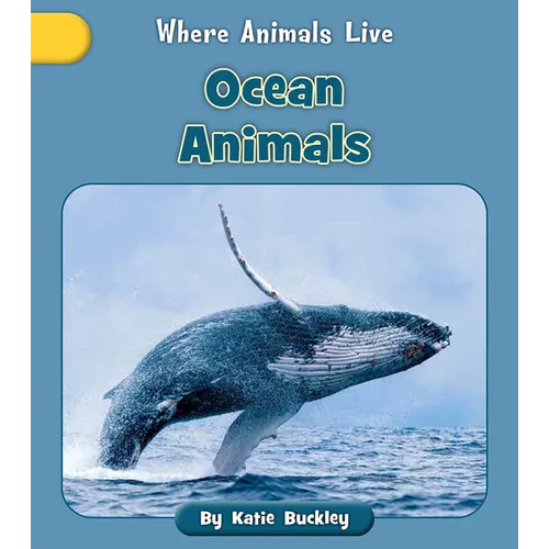 Ocean Animals