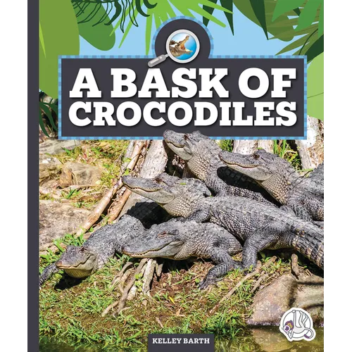 A Bask of Crocodiles