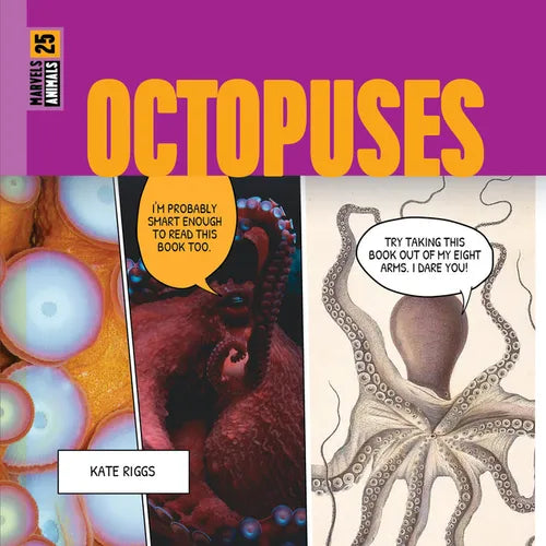 Octopuses - Paperback