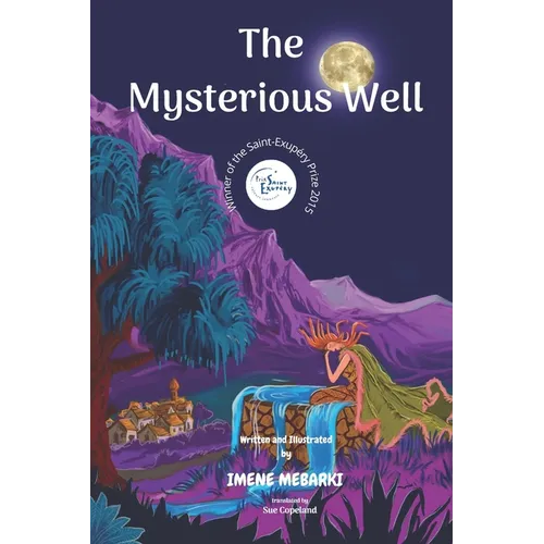 The Mysterious Well: Winner of the Saint-Exupéry Prize 2015. Amazing Picture Book. children's mystery for preteen boys and girls