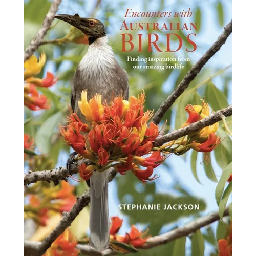 Encounters with Australian Birds: Finding Inspirations from Australia's Amazing Birdlife