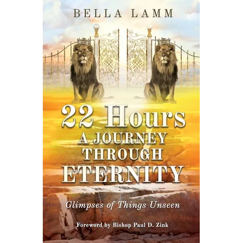 22 Hours: A Journey Through Eternity: Glimpses of Things Unseen