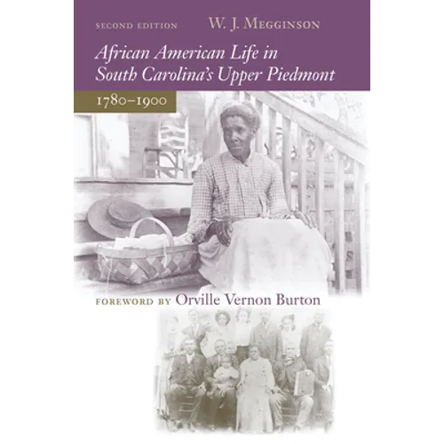 African American Life in South Carolina's Upper Piedmont, 1780-1900