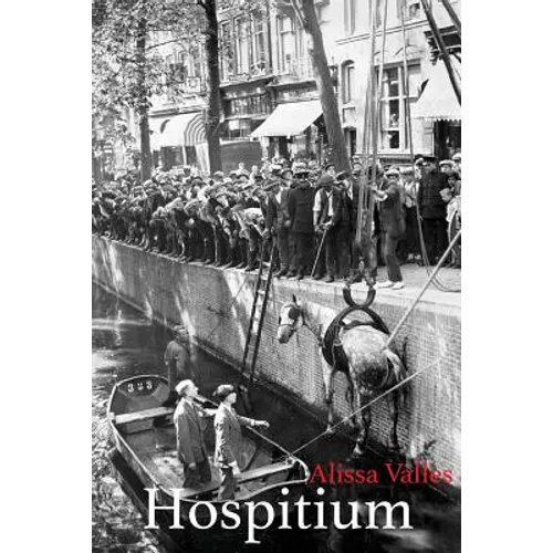 Hospitium