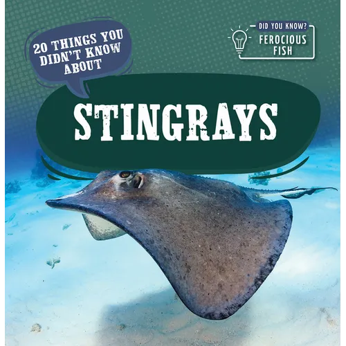 20 Things You Didn't Know about Stingrays