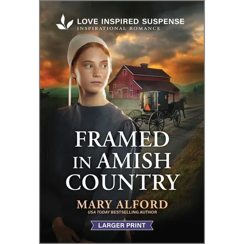 Framed in Amish Country