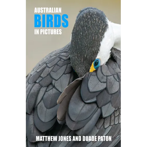 Australian Birds in Pictures