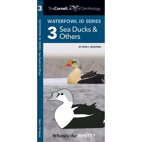 Waterfowl Id Series: 3 Sea Ducks & Others