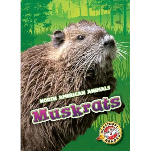 Muskrats