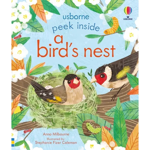 Peek Inside a Bird's Nest