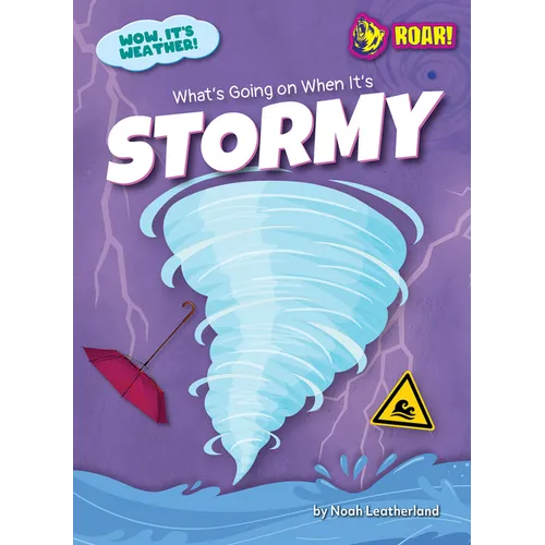 What's Going on When It's Stormy