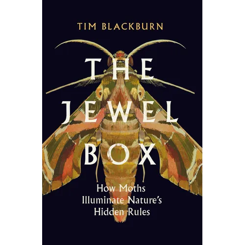The Jewel Box: How Moths Illuminate Nature's Hidden Rules