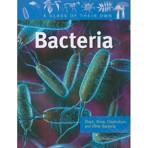 Bacteria: Staph, Strep, Clostridium, and Other Bacteria