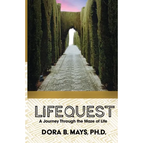 LifeQuest: A Journey Through the Maze of Life