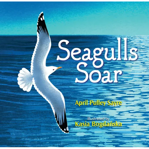 Seagulls Soar