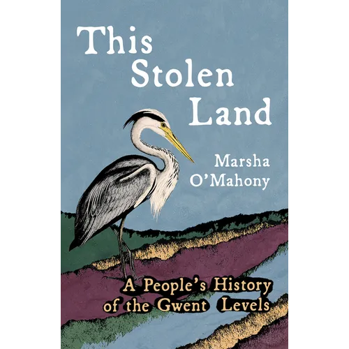 This Stolen Land: A People's History of the Gwent Levels