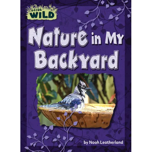 Nature in My Backyard