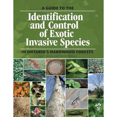 A guide to the identification and control of exotic invasive species in Ontario's hardwood forests