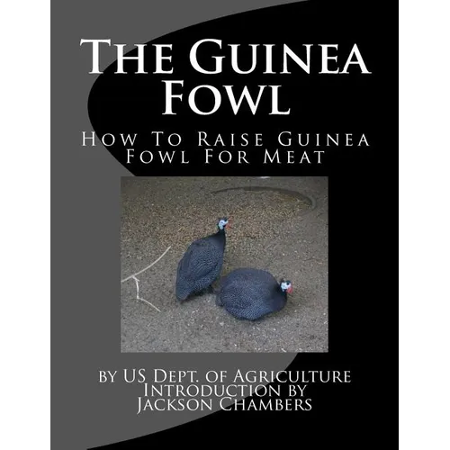 The Guinea Fowl: How To Raise Guinea Fowl For Meat