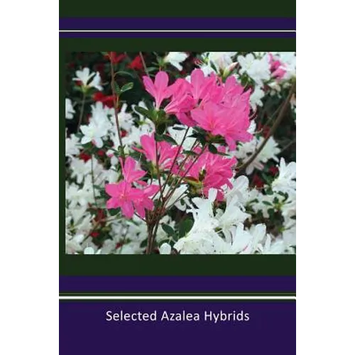 Selected Azalea Hybrids
