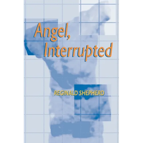 Angel Interrupted