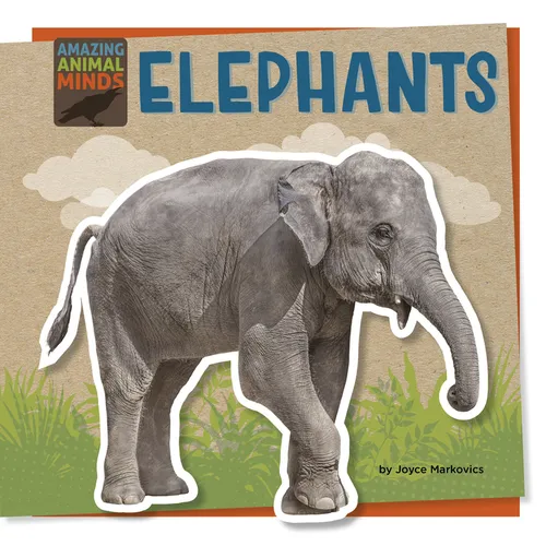 Elephants
