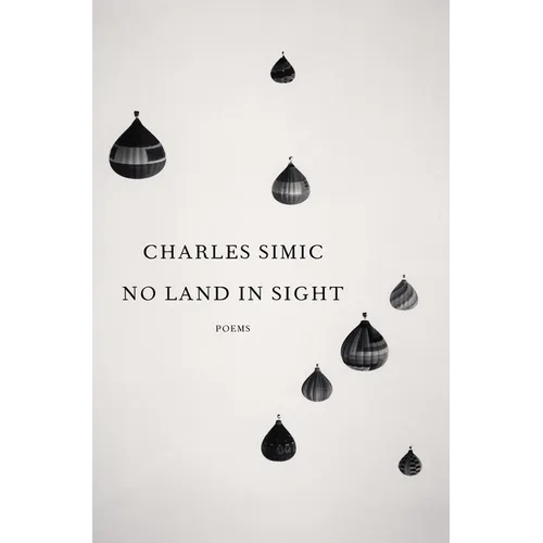 No Land in Sight: Poems