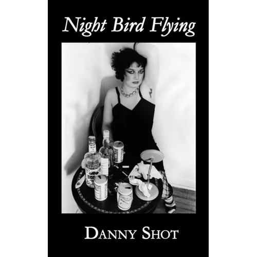 Night Bird Flying