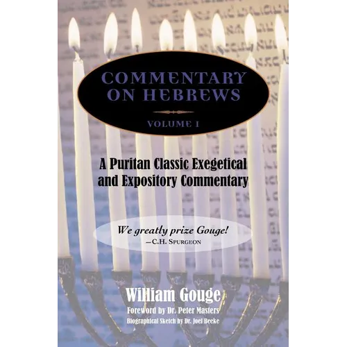 Commentary on Hebrews: Exegetical and Expository - Vol. 1 (Heb. 1-7)