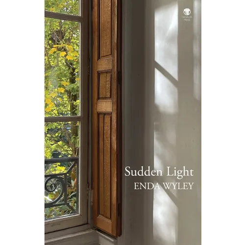 Sudden Light