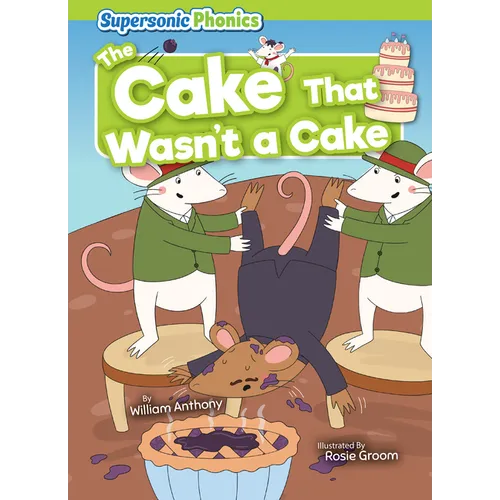 The Cake That Wasn't a Cake