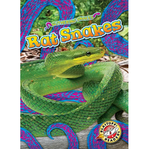 Rat Snakes