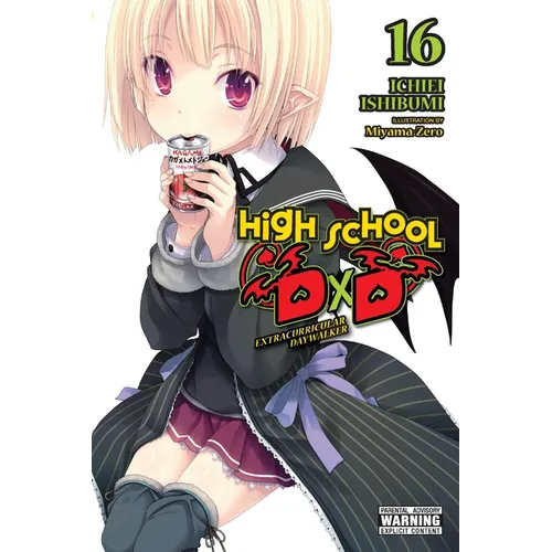 High School DXD, Vol. 16 (Light Novel)