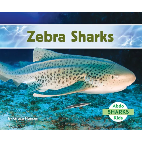 Zebra Sharks