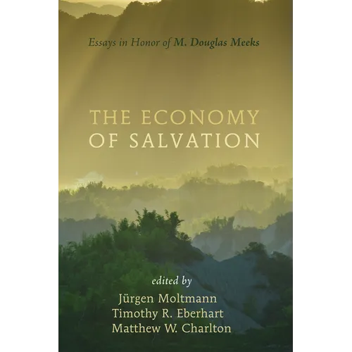 The Economy of Salvation: Essays in Honor of M. Douglas Meeks