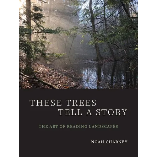 These Trees Tell a Story: The Art of Reading Landscapes