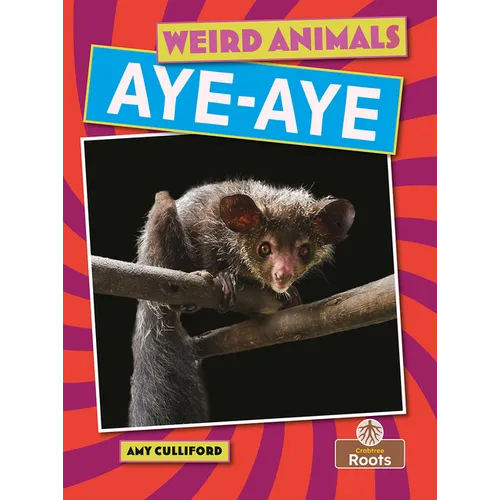 Aye-Aye