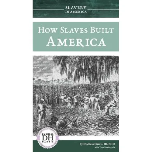 How Slaves Built America