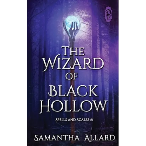 The Wizard of Black Hollow