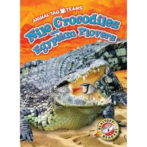 Nile Crocodiles and Egyptian Plovers